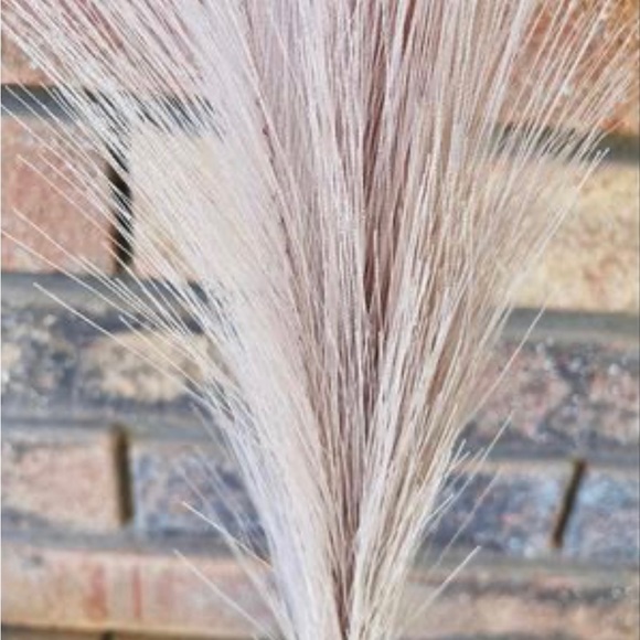 *Pampas Grass Pick, 28”, Bundle of 3 - Picture 6 of 10